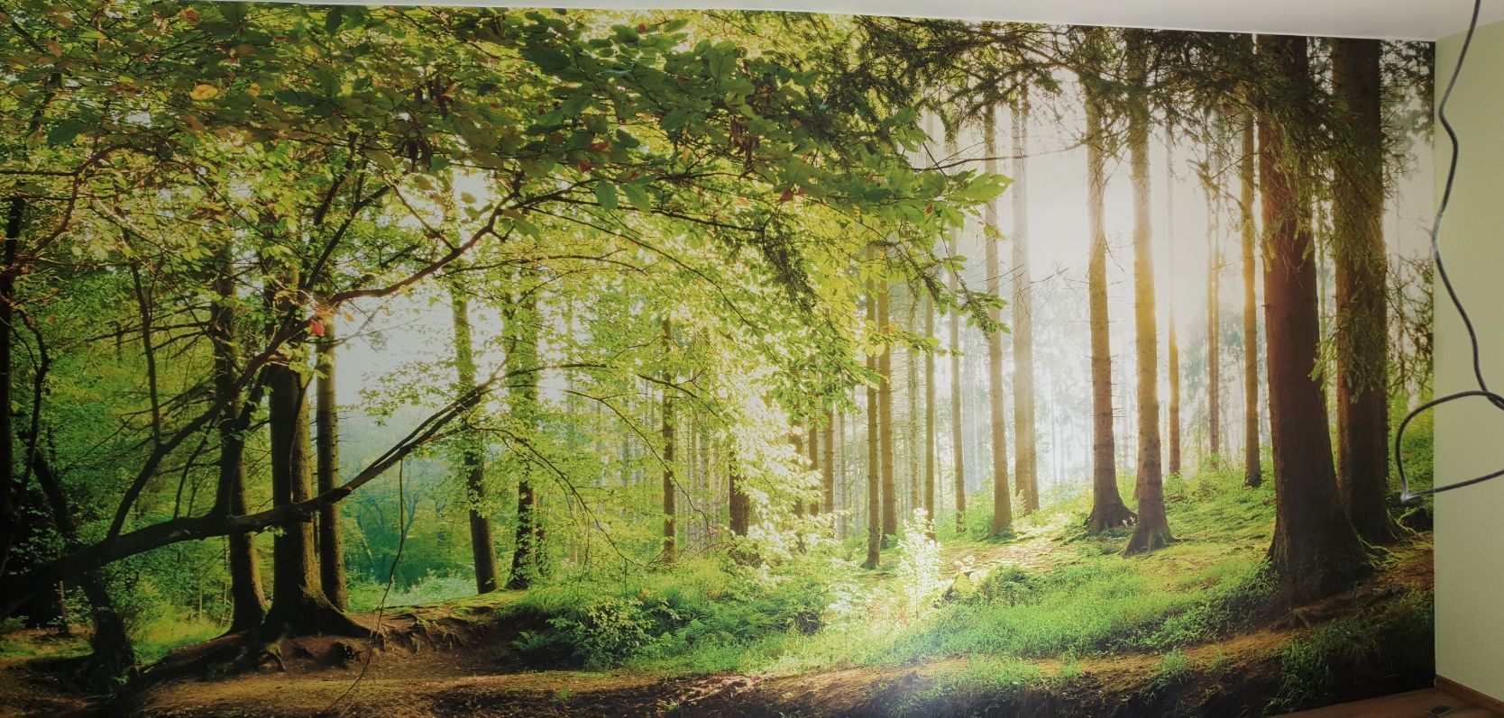 Fototapeta – realizace tapetování