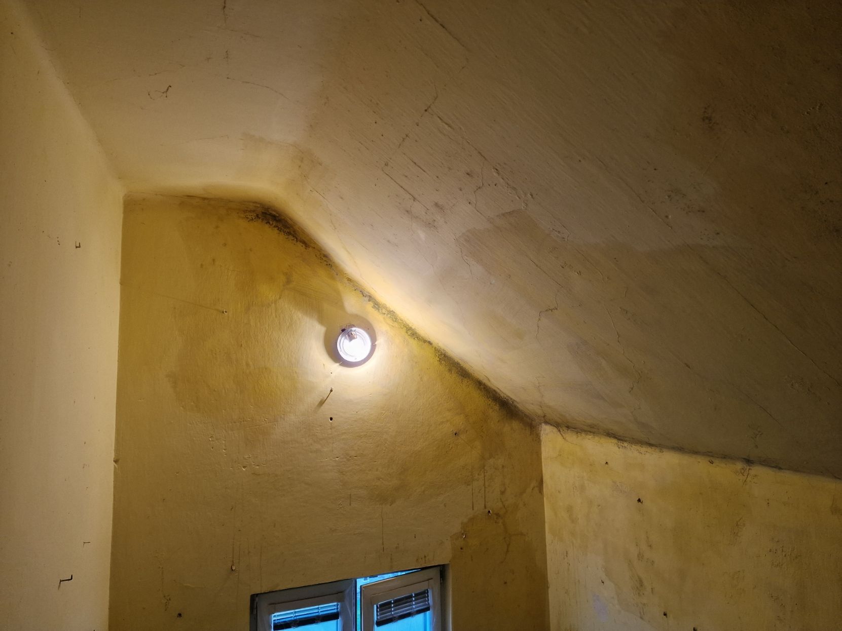 Stěna napadená plísní a vlhkostí – před sanací